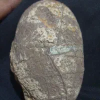 فسیل تخم دایناسور پرند|کلکسیون و سرگرمی|قیدار, |دیوار