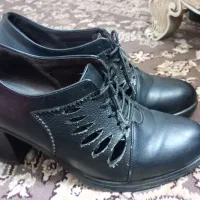 کفش|کیف، کفش، کمربند|سبزوار, مدرس|دیوار