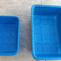 ظرف بسته بندی