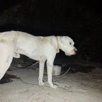 گم شده محدوده بخنگ.بهشت زهرا