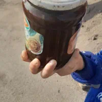 ترشی آلوچه|خوردنی و آشامیدنی|رشت, انصاری|دیوار