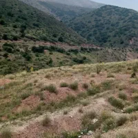 کوه و راه پیمایی