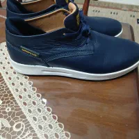 کفش مارک کاتر پیلار|کیف، کفش، کمربند|شاهرود, |دیوار