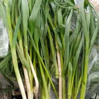 سیرموک تازه تازه ترد خوشمزه همین الان چیدم درجه یک