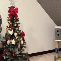 درخت کریسمس