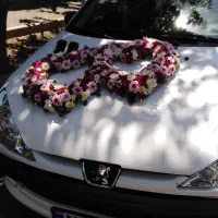 گل آرایی ماشین عروس دسته گل عروس|خدمات پذیرایی، مراسم|مشهد, سپاد|دیوار