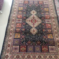 وسایل خانه|فرش|شیراز, شهرک گلستان شمالی|دیوار