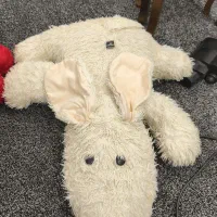 عروسک|اسباب‌بازی بچه|مشهد, کارگران|دیوار