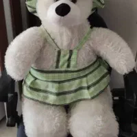 گیتار و خرس عروسکی|اسباببازی بچه|احمدآبادمستوفی, |دیوار