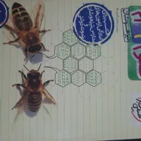 کتاب کمک آموزشی پایه۹قبولی نمونه دولتی تیزهوشان|کتاب و مجله آموزشی|بندرلنگه, |دیوار