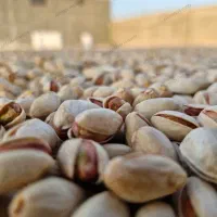 پسته درجه یک فیض اباد خراسان درحد صادراتی|خوردنی و آشامیدنی|اصفهان, جلفا|دیوار