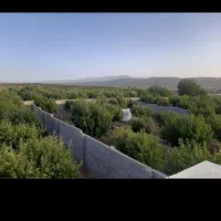 باغ-شهر-بی-دردسر