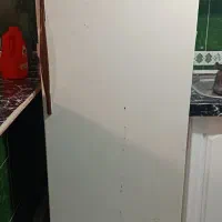 یخچال|یخچال و فریزر|عباس‌آباد, |دیوار