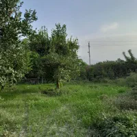 فروش زمین چسبیده به بافت قطعه دوم