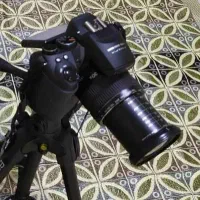 دوربین عکاسی فوجی فیلم، ژاپنی