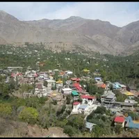 زمین باغ فروشی امامه