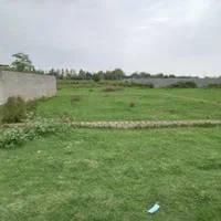 ۲۵۰متر مسکونی جمعه بازار تولم شهر سند تک برگ|فروش زمین و ملک کلنگی|تولم شهر, |دیوار