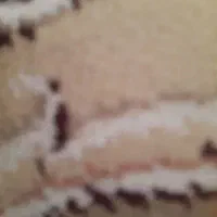 یه لنگه گوشواره صدفی گم شده