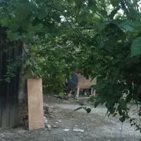 خونه مسکونی|اجارهٔ خانه و ویلا|گرگان, |دیوار