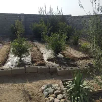 باغچه ۳۰۰متری|فروش خانه و ویلا|ماهدشت, |دیوار