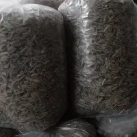 تخمه درجه یک  ترد و خوشمزه