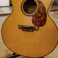 گیتار آکوستیک acoustic guitar