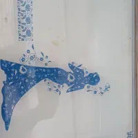 ماشین لباسشویی دوقلو ۱۲ کیلویی