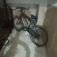 دوچرخه در حد نو سایز ۲۴