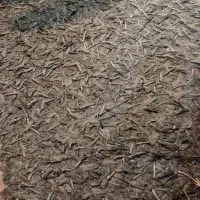 فرش فانتزی|فرش|اهواز, شهرک پیام|دیوار