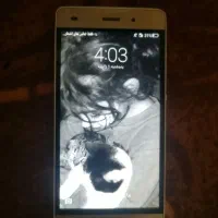 معاوزه ندارم