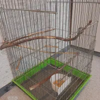 قفس بزرگ نو|لوازم جانبی حیوانات|بندر امام خمینی, |دیوار