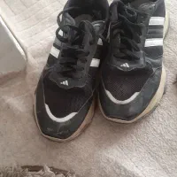 کفش کتونی  سفید|کیف، کفش، کمربند|گنبد کاووس, |دیوار