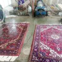 قالیشویی تخصصی فرش دستبافت  با کاور رایگان