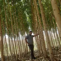 نهالستان حاج ابوذر