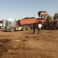 پخش کود حیوانی گاوی پوسیده به تعدادی ۲۰۰۰کامیون|خدمات باغبانی و درختکاری|محمدیه-قزوین, |دیوار