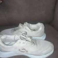 یک جفت کتونی|کیف، کفش، کمربند|رشت, سلیمانداراب|دیوار