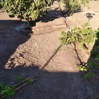 باغ|فروش خانه و ویلا|اشتهارد, |دیوار