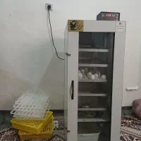 دستگاه ۲۱۰تایی محمدی درنا|لوازم جانبی حیوانات|مشهد, توس (بلوار توس)|دیوار