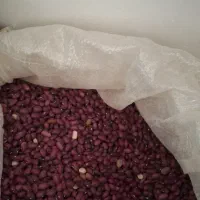 فروش عمده لوبیا قرمز|عمدهفروشی|پاسارگاد, |دیوار