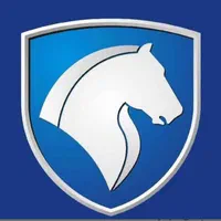 دفتر معاملاتی حواله مادران فیدلیتی 207 دنا تارا