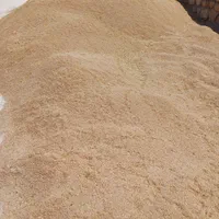 گندم قرمز رقم آرامش و کلکتور