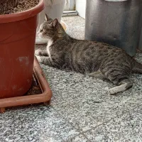 راهنمایی کار هجده سالمه