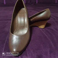 کفش مجلسی|کیف، کفش، کمربند|کرج, کرج نو|دیوار