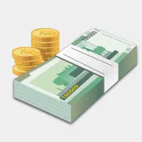 تامین و پرداخت سرمایه