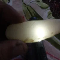 چند عدد سنگ های  قیمتی شجر عقیق