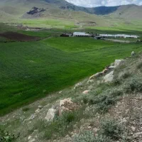 خریدکود شیمیایی|خدمات باغبانی و درختکاری|الیگودرز, |دیوار