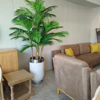 درختچه مصنوعی، آینه، بوفه، رگال، پاف|گل مصنوعی|آبیک, |دیوار