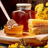 عسل کوهی خالص . مقوی ، ویژه درمان