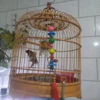 قفس گرد بسیار زیبا