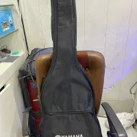 گیتار مدل رویال کلاسیک|گیتار، بیس، امپلیفایر|فردیس, فردیس|دیوار